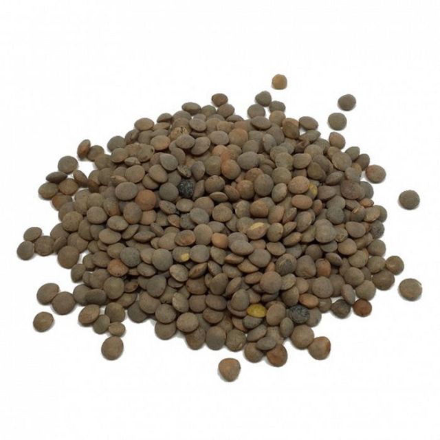 BioArtesa - Lentille Brune 500gr Alimentation Notre magasin